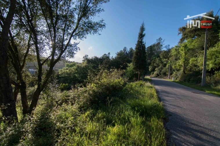 Terreno para Venda em Nossa Senhora da Piedade Foto 5