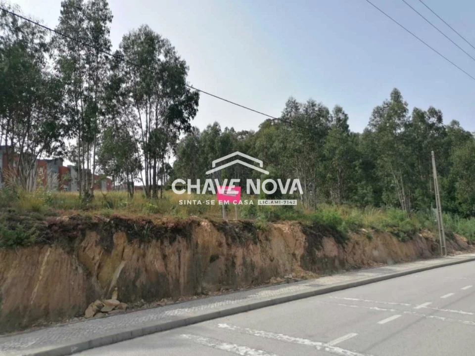 Terreno Misto para Venda em O. Azeméis, Riba-Ul, Ul, Macinhata Seixa, Madail Foto 4