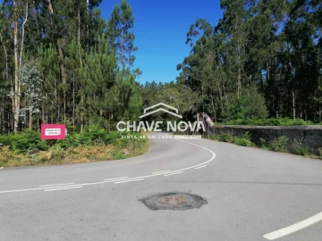 Terreno Misto para Venda em Macieira de Sarnes