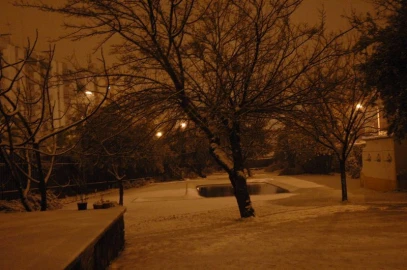 Moradia T6 para Venda em Castelo Branco