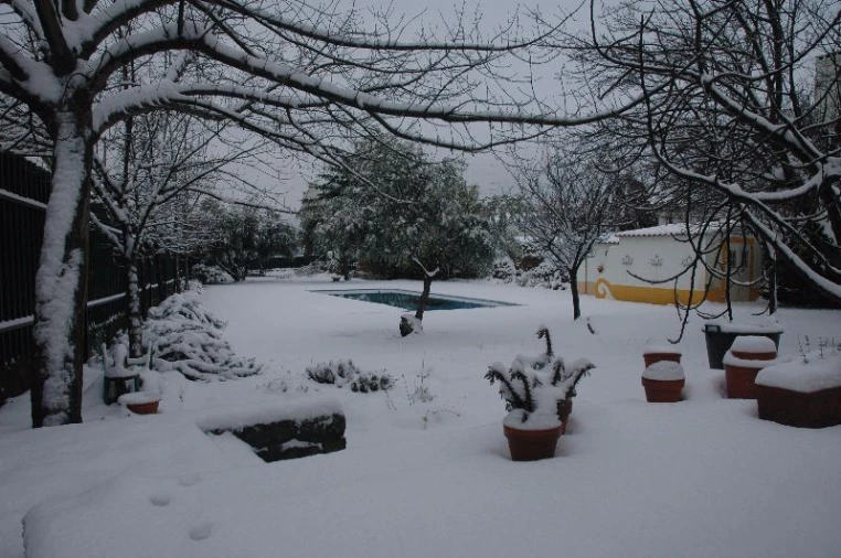 Moradia T6 para Venda em Castelo Branco Foto 8