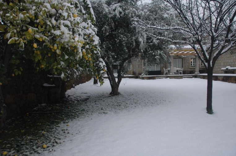 Moradia T6 para Venda em Castelo Branco Foto 9