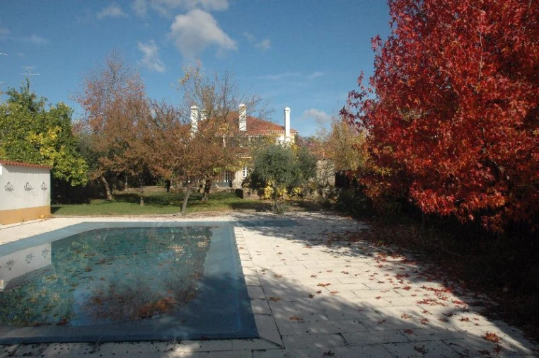 Moradia T6 para Venda em Castelo Branco Foto 13