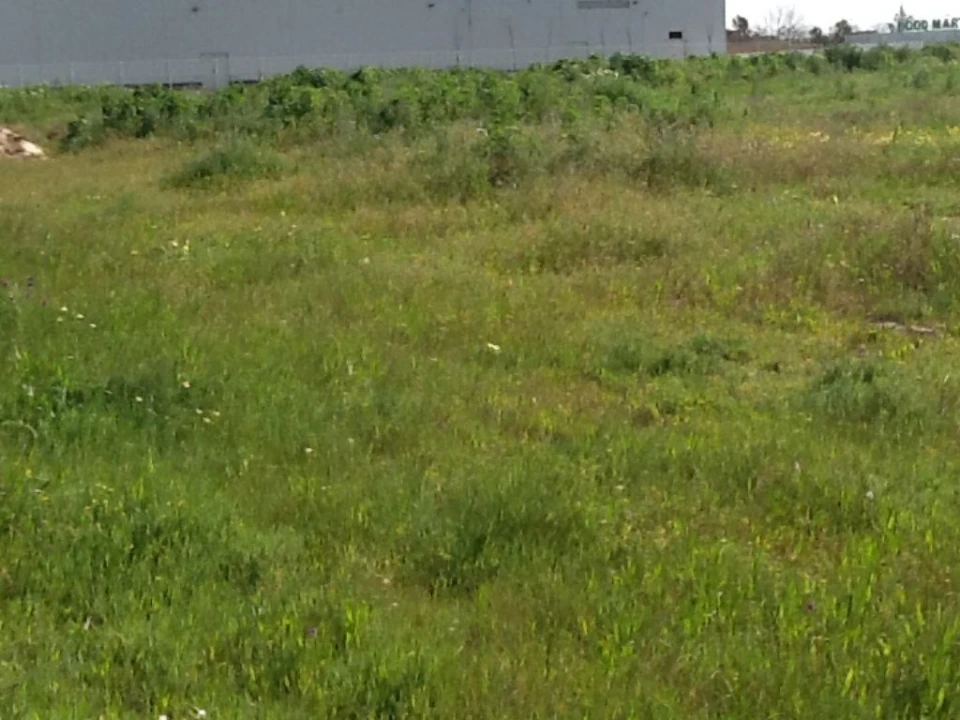 Terreno Comércio / Armazém para Venda em Montijo e Afonsoeiro Foto 3