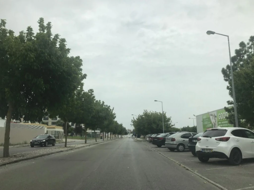 Terreno Comércio / Armazém para Venda em Montijo e Afonsoeiro Foto 17