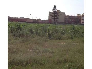 Terreno Comércio / Armazém para Venda em Montijo e Afonsoeiro