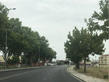 Terreno Comércio / Armazém para Venda em Montijo e Afonsoeiro