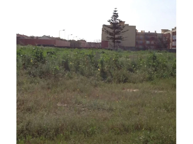 Terreno Comércio / Armazém para Venda em Montijo e Afonsoeiro Foto 7