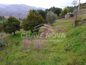 Terreno Misto para Venda em Campelo e Ovil