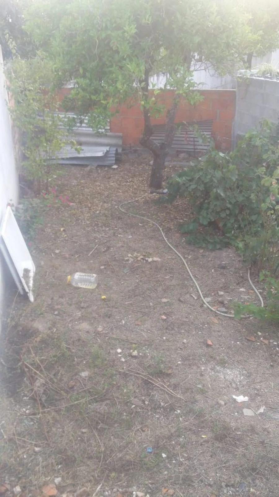 Moradia T2 para Venda em Cabeção Foto 25