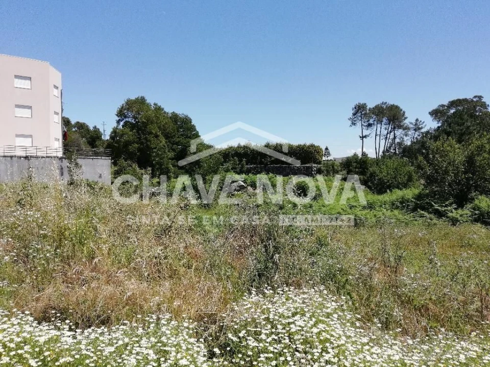 Terreno Agricola ou Rústico para Venda em Vilela Foto 2