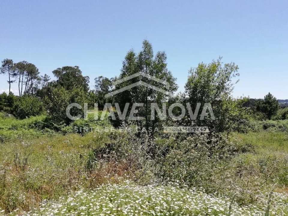 Terreno Agricola ou Rústico para Venda em Vilela Foto 3