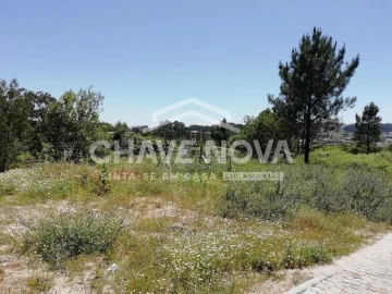 Terreno Agricola ou Rústico para Venda em Vilela