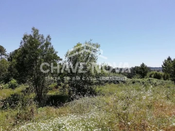 Terreno Agricola ou Rústico para Venda em Vilela