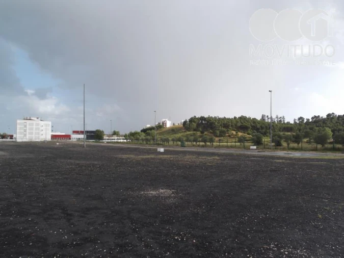 Terreno P/ Prédio para Venda em Azambuja Foto 3