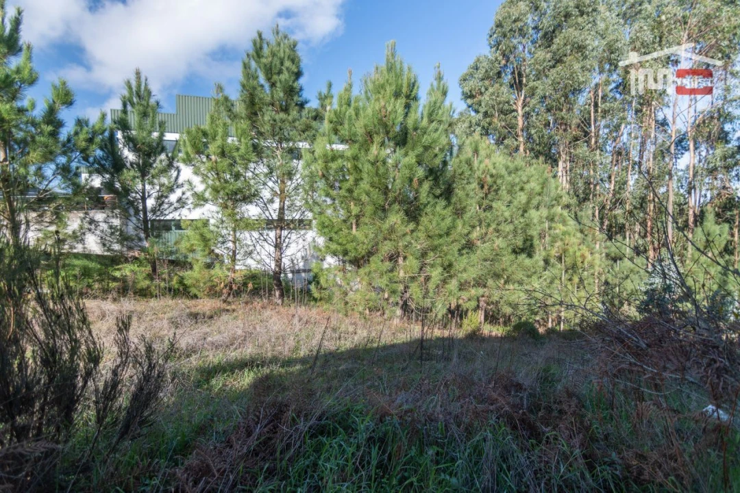 Terreno Agricola ou Rústico para Venda em São Mamede Foto 5