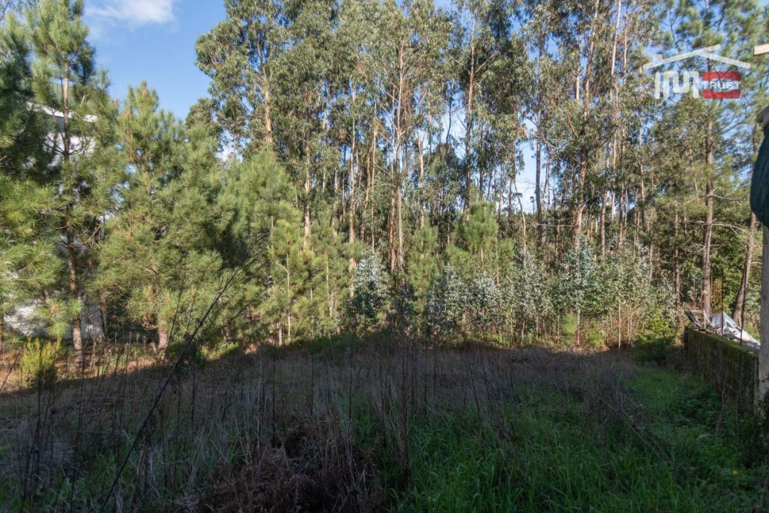 Terreno Agricola ou Rústico para Venda em São Mamede Foto 6