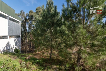 Terreno Agricola ou Rústico para Venda em São Mamede