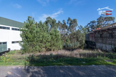 Terreno Agricola ou Rústico para Venda em São Mamede