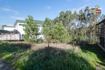 Terreno Agricola ou Rústico para Venda em São Mamede