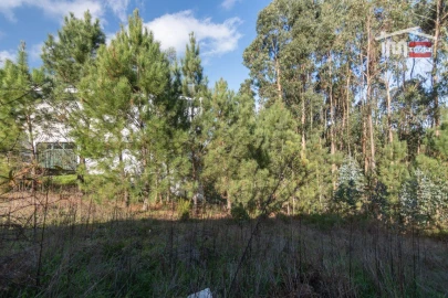 Terreno Agricola ou Rústico para Venda em São Mamede