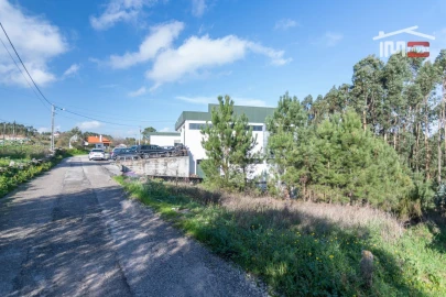 Terreno Agricola ou Rústico para Venda em São Mamede