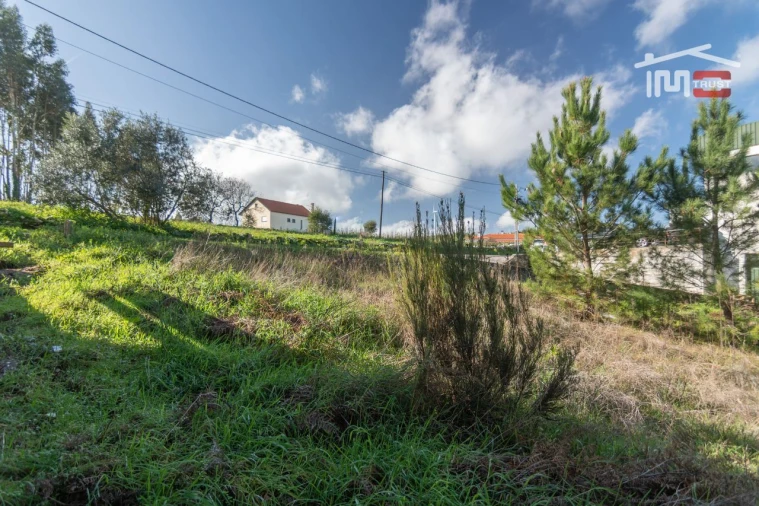 Terreno Agricola ou Rústico para Venda em São Mamede Foto 8