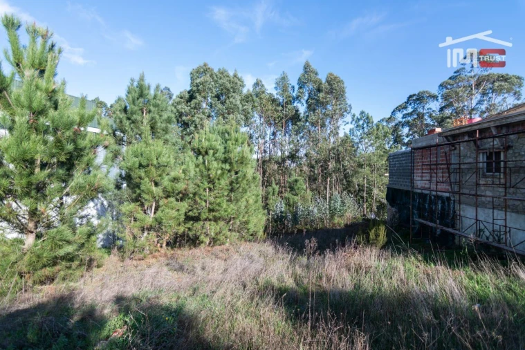 Terreno Agricola ou Rústico para Venda em São Mamede Foto 10