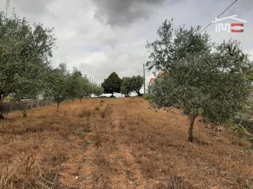 Terreno Agricola ou Rústico para Venda em Fatima