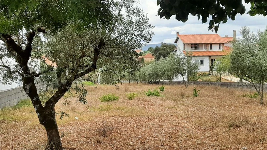 Terreno Agricola ou Rústico para Venda em Fatima