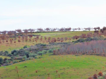 Terreno Agricola ou Rústico para Venda em Outeiro