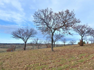 Terreno Agricola ou Rústico para Venda em Outeiro