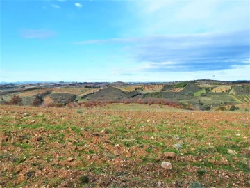 Terreno Agricola ou Rústico para Venda em Outeiro