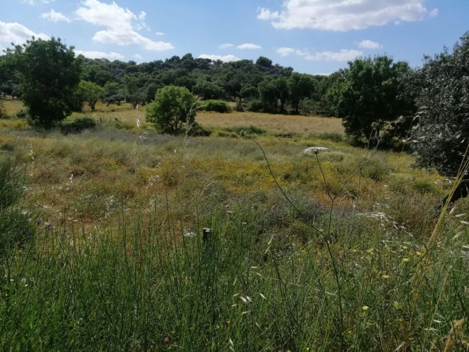 Quinta T0 para Venda em Beirã Foto 2