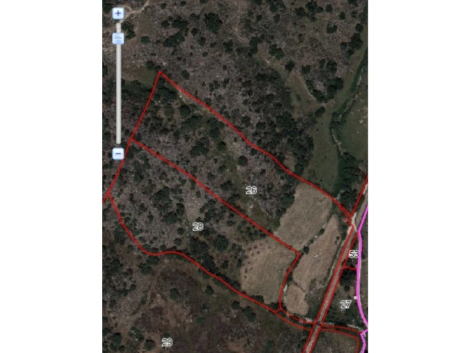 Quinta T0 para Venda em Beirã Foto 4