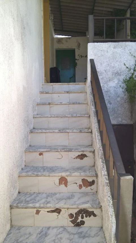 Moradia T4 para Venda em São Salvador da Aramenha