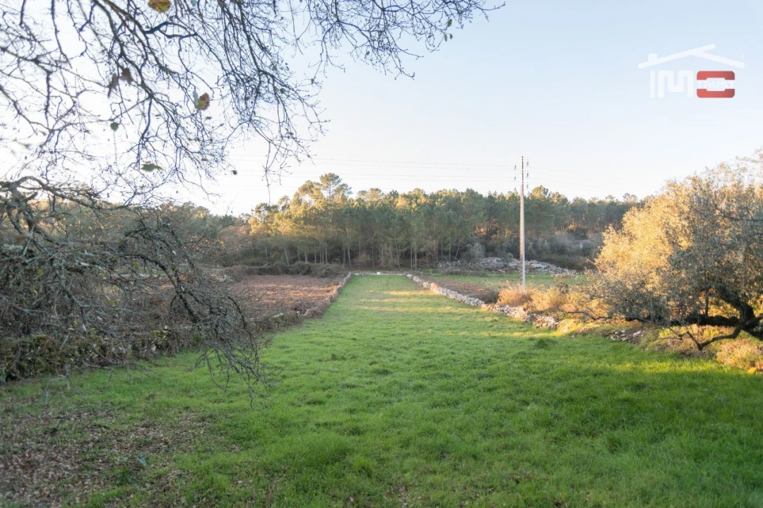 Terreno Agricola ou Rústico para Venda em São Mamede Foto 6