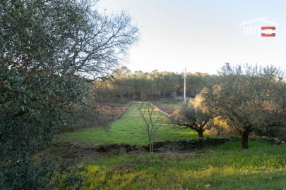 Terreno Agricola ou Rústico para Venda em São Mamede