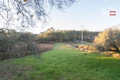 Terreno Agricola ou Rústico para Venda em São Mamede