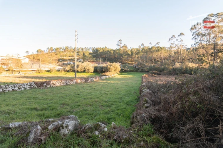 Terreno Agricola ou Rústico para Venda em São Mamede Foto 3