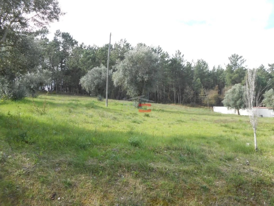 Terreno Misto para Venda em Alburitel Foto 2