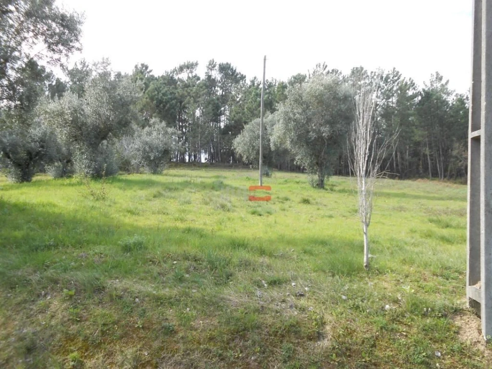 Terreno Misto para Venda em Alburitel Foto 4
