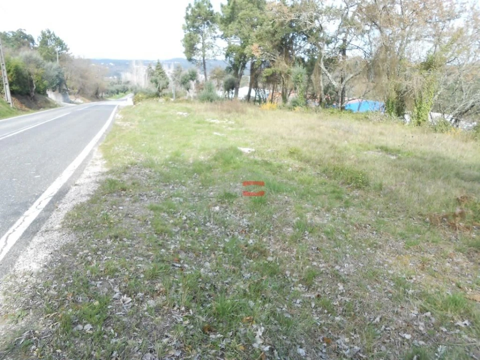 Terreno Misto para Venda em Alburitel Foto 6