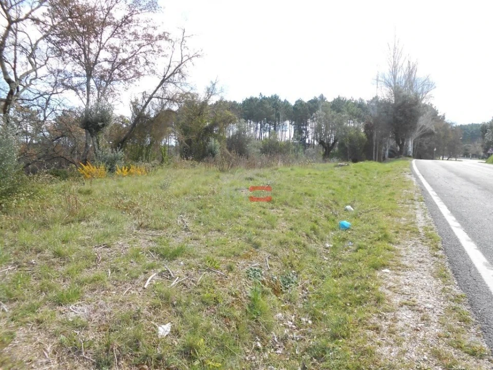 Terreno Misto para Venda em Alburitel Foto 9