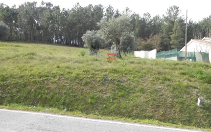 Terreno Misto para Venda em Alburitel