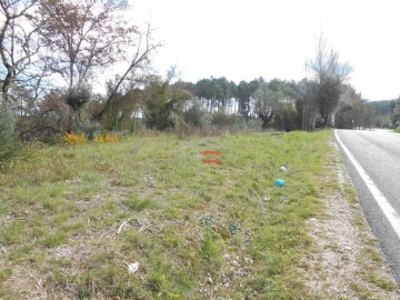 Terreno Misto para Venda em Alburitel