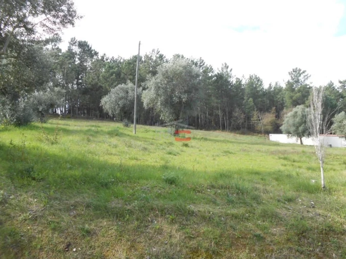 Terreno Misto para Venda em Alburitel Foto 2