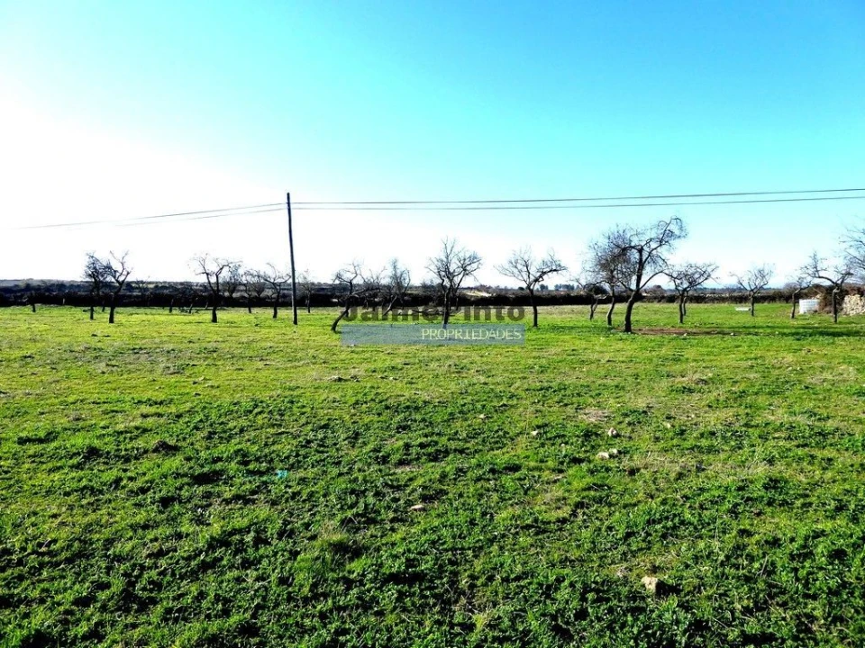 Terreno para Venda em Figueira de Castelo Rodrigo Foto 1