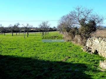 Terreno para Venda em Figueira de Castelo Rodrigo