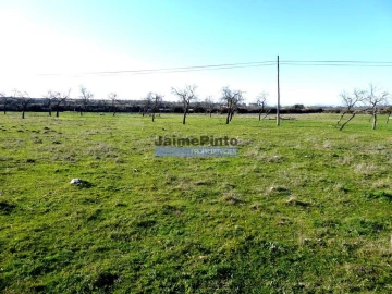 Terreno para Venda em Figueira de Castelo Rodrigo